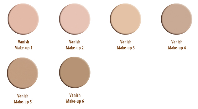vanish makeup 6